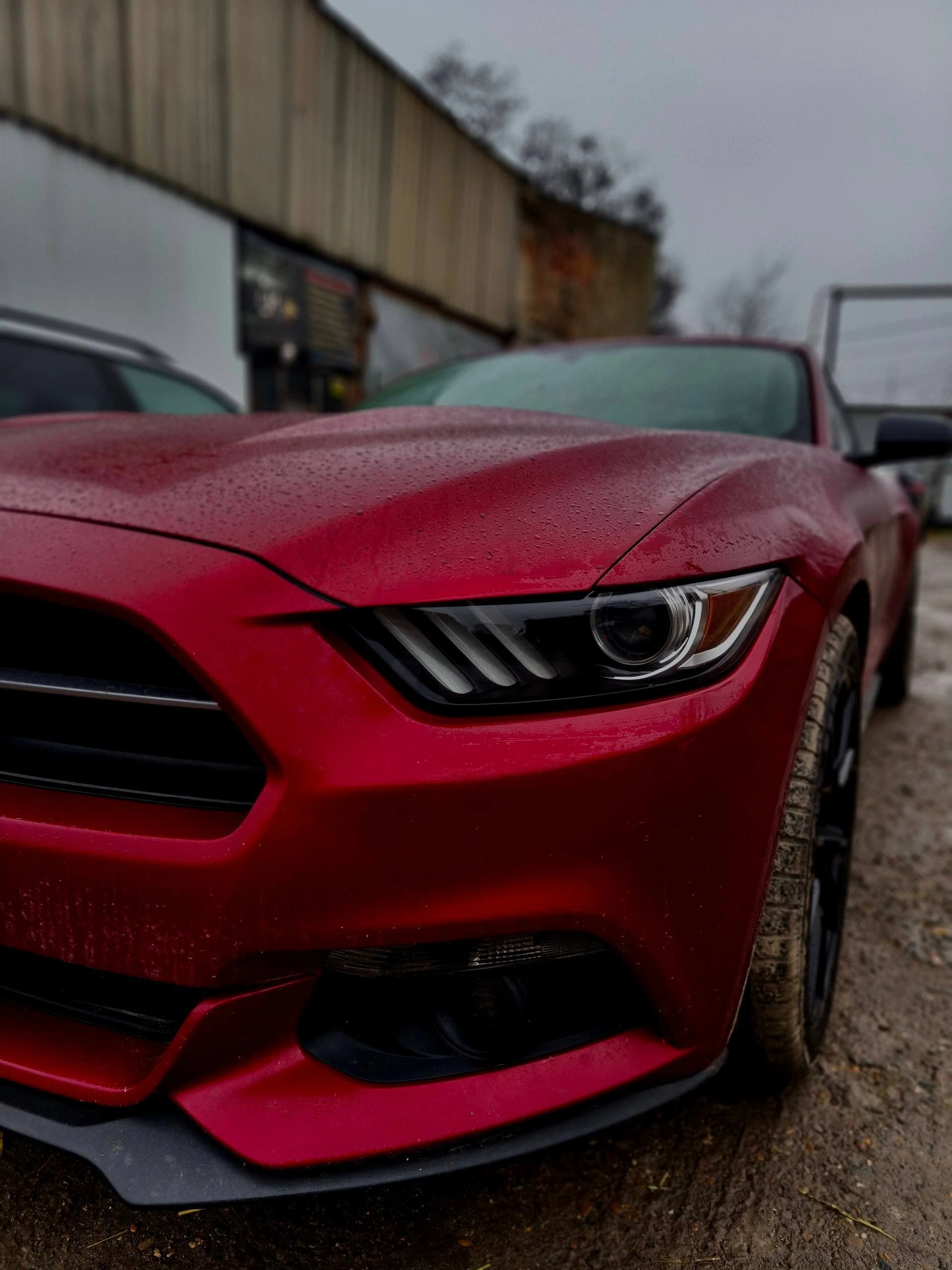 Ford mustang: 